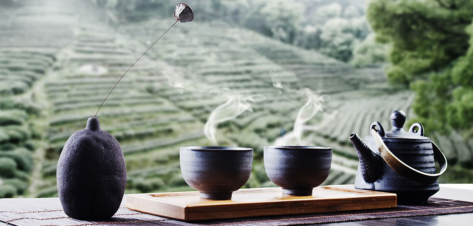 青岛市政协委员匡明如：助推青岛茶文旅高质量发展