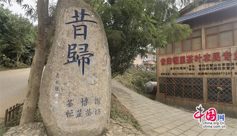 高舜礼：打造云南茶旅融合的升级版(组图jbo竞博平台)(图9)