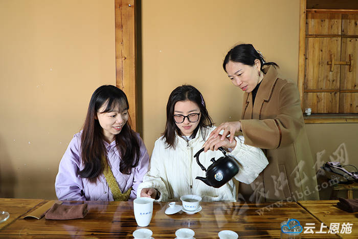 jbo竞博APP巴东：解锁茶艺新技能 助力金果坪茶产业发展(图1)