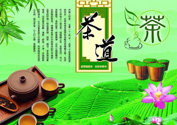 外国留学生福建漳州感受茶艺魅力：跨文化交流新篇章