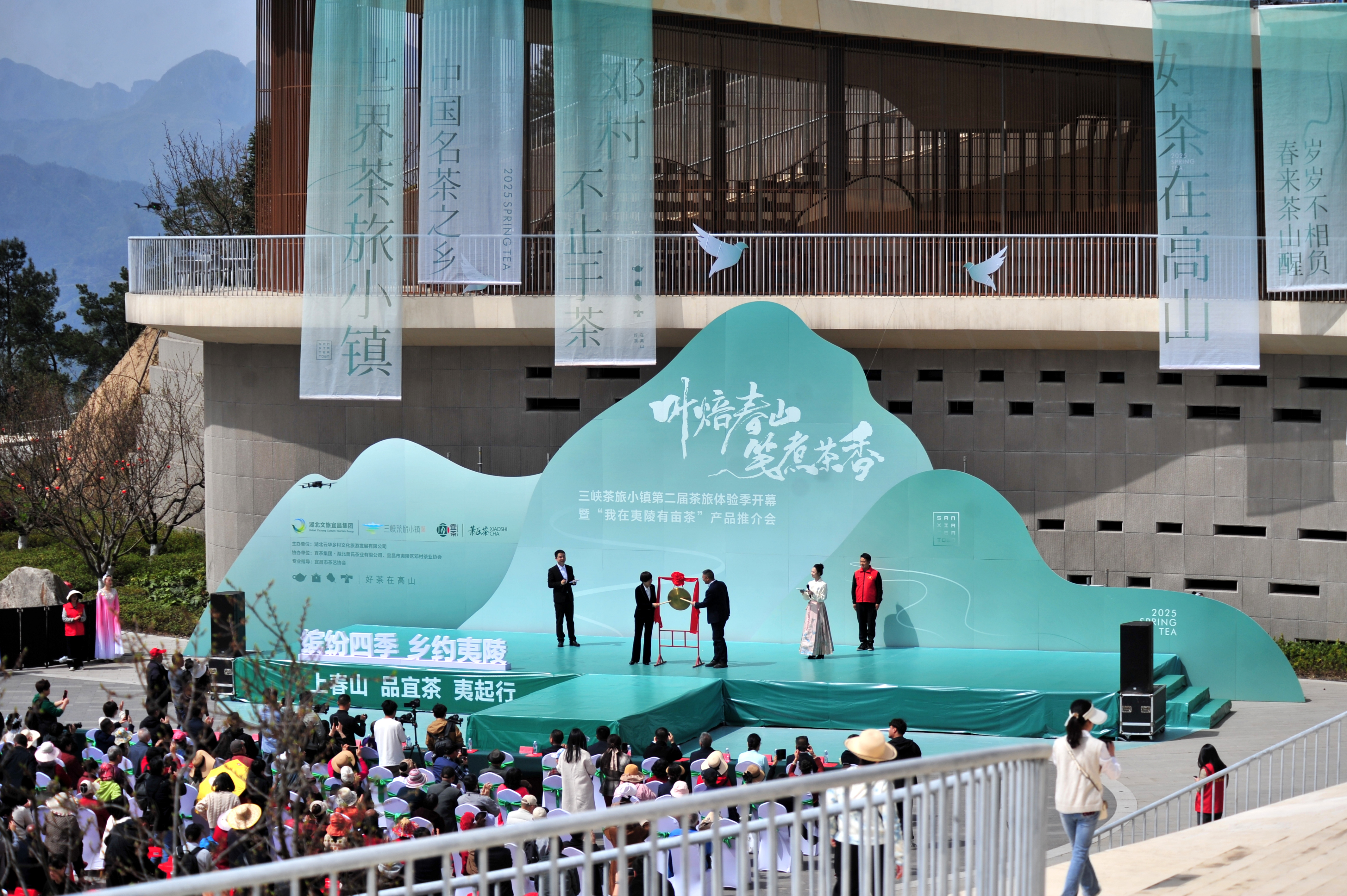 湖北夷陵：邓村茶经故里舞春色 一片茶叶“蝶变”一方产业(图1)