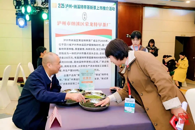 共品中国春天的第一杯茶｜2025泸州·纳溪特早茶新茶上市推介活动在成都举行(图4)