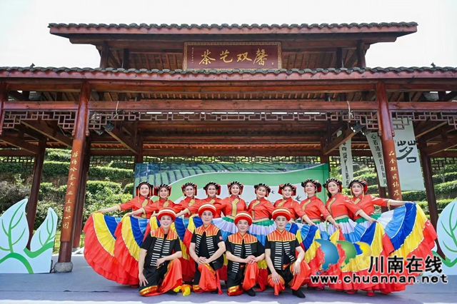jbo竞博下载以茶为轴 纳溪区这场展演活动“茶香四溢”(图5)