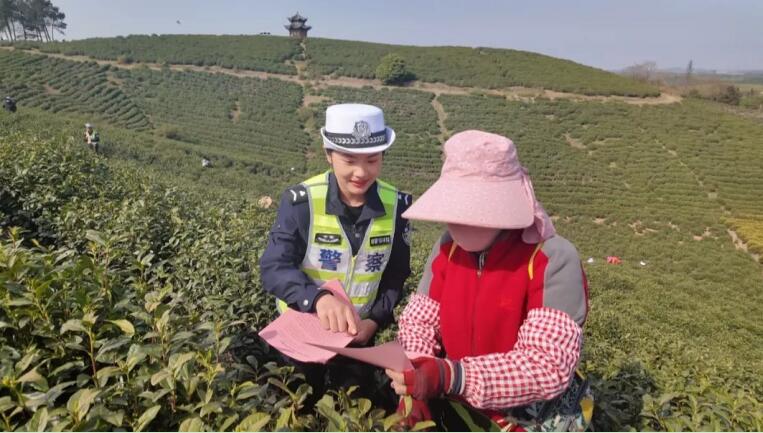 宣城郎溪：交警護航採茶季 筑牢茶農交通安全防線(图1)