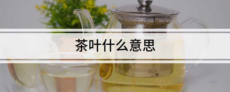 茶叶什么意思(图1)
