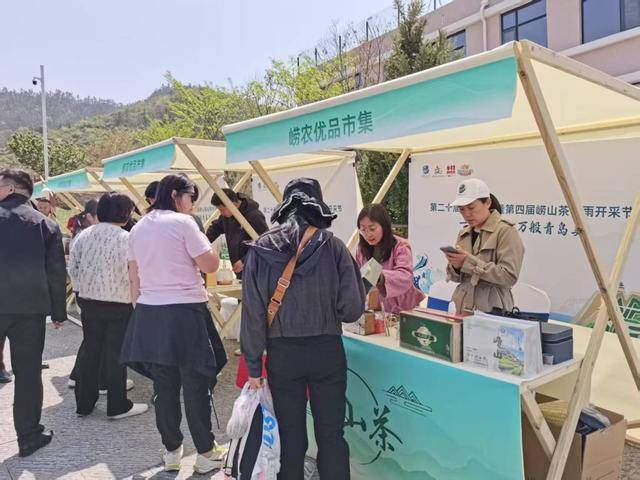 100多亩茶园日产干茶10余斤崂山春茶“稀罕”上市(图5)