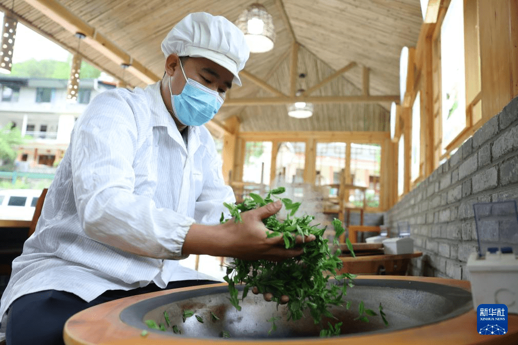 甘肃康县：茶香悠悠(图5)